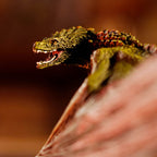 Product image Game of Thrones - Rhaegal Figure