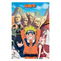 Immagine del prodotto Naruto - Group Maxi Poster