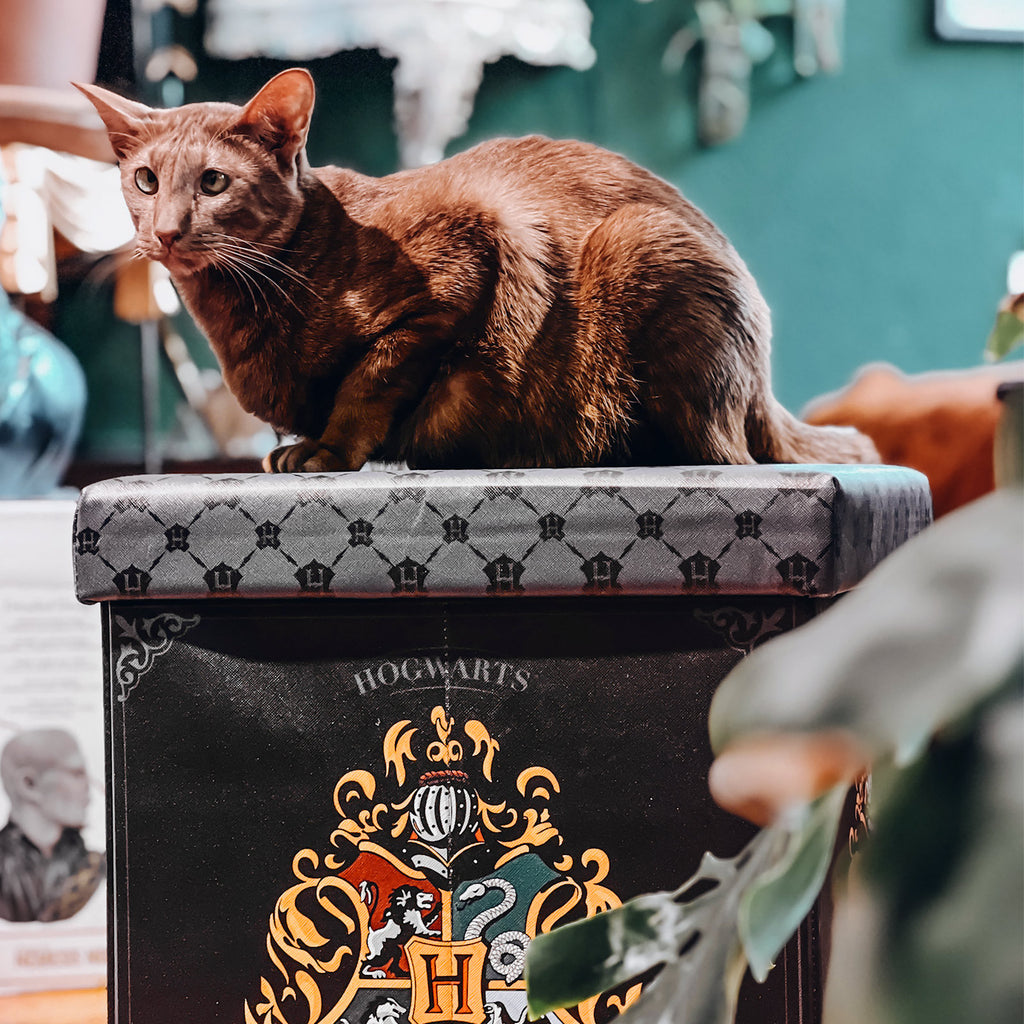 Immagine del prodotto Harry Potter - Sgabello Hogwarts con spazio di archiviazione