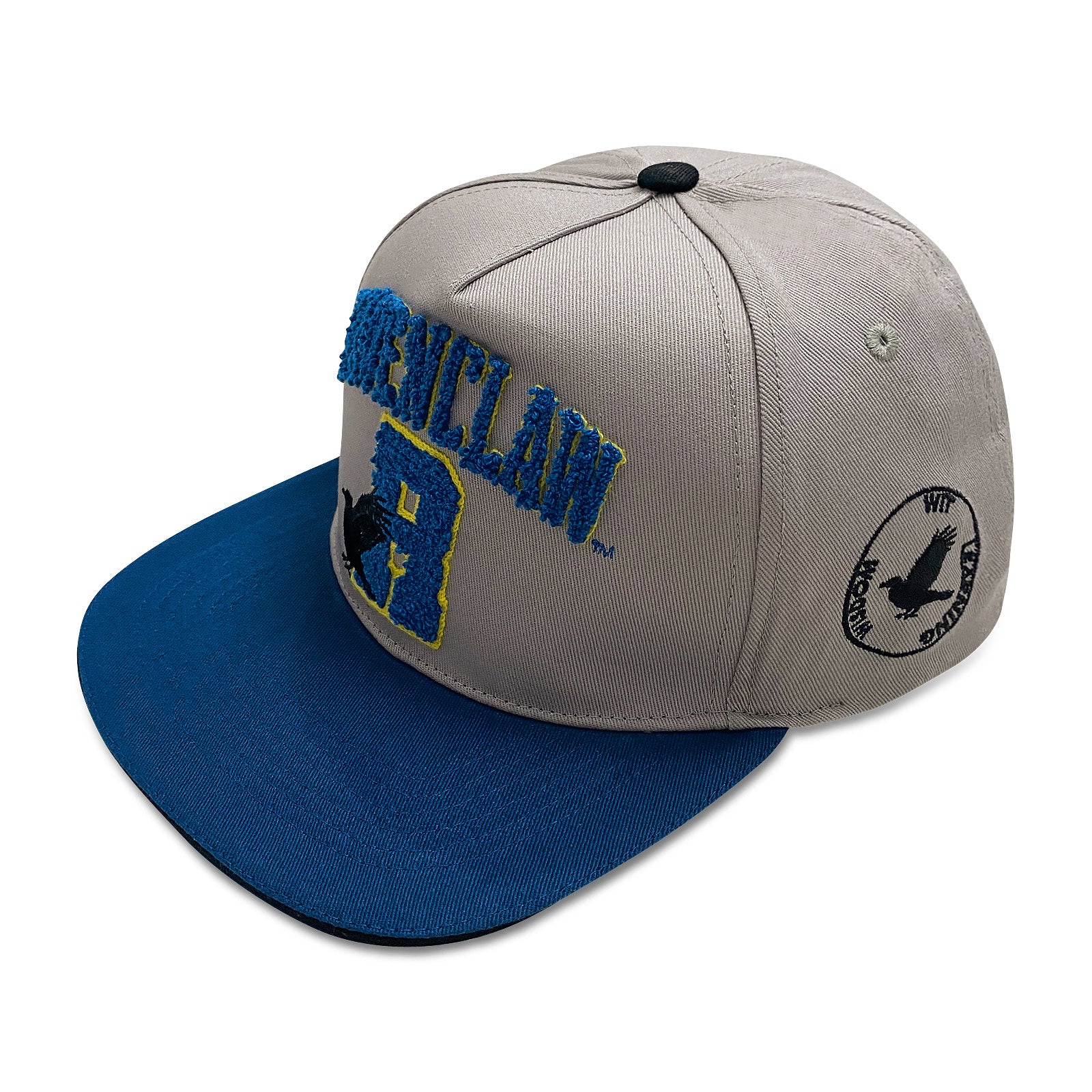 Product image Harry Potter - Ravenclaw Terry Logo Snapback Cap