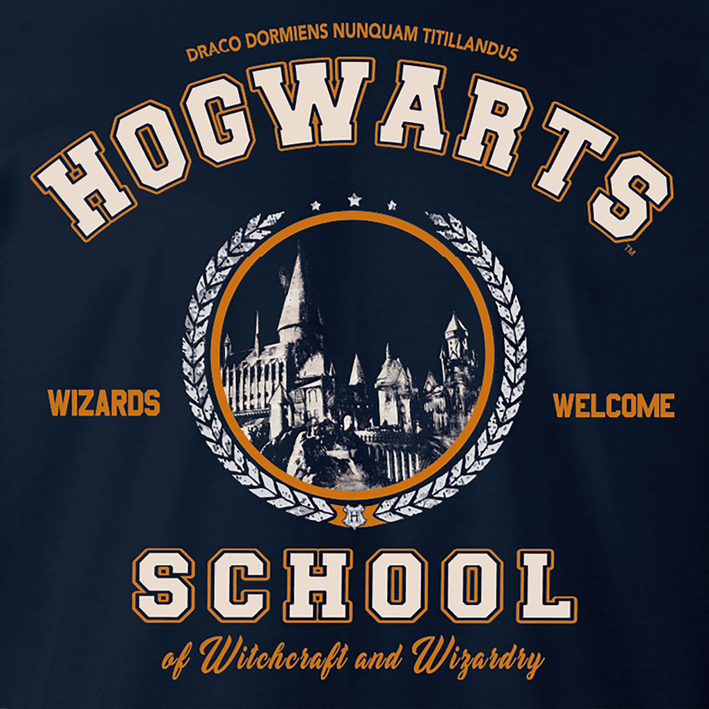 Immagine del prodotto Harry Potter - Felpa con cappuccio della Scuola Hogwarts blu