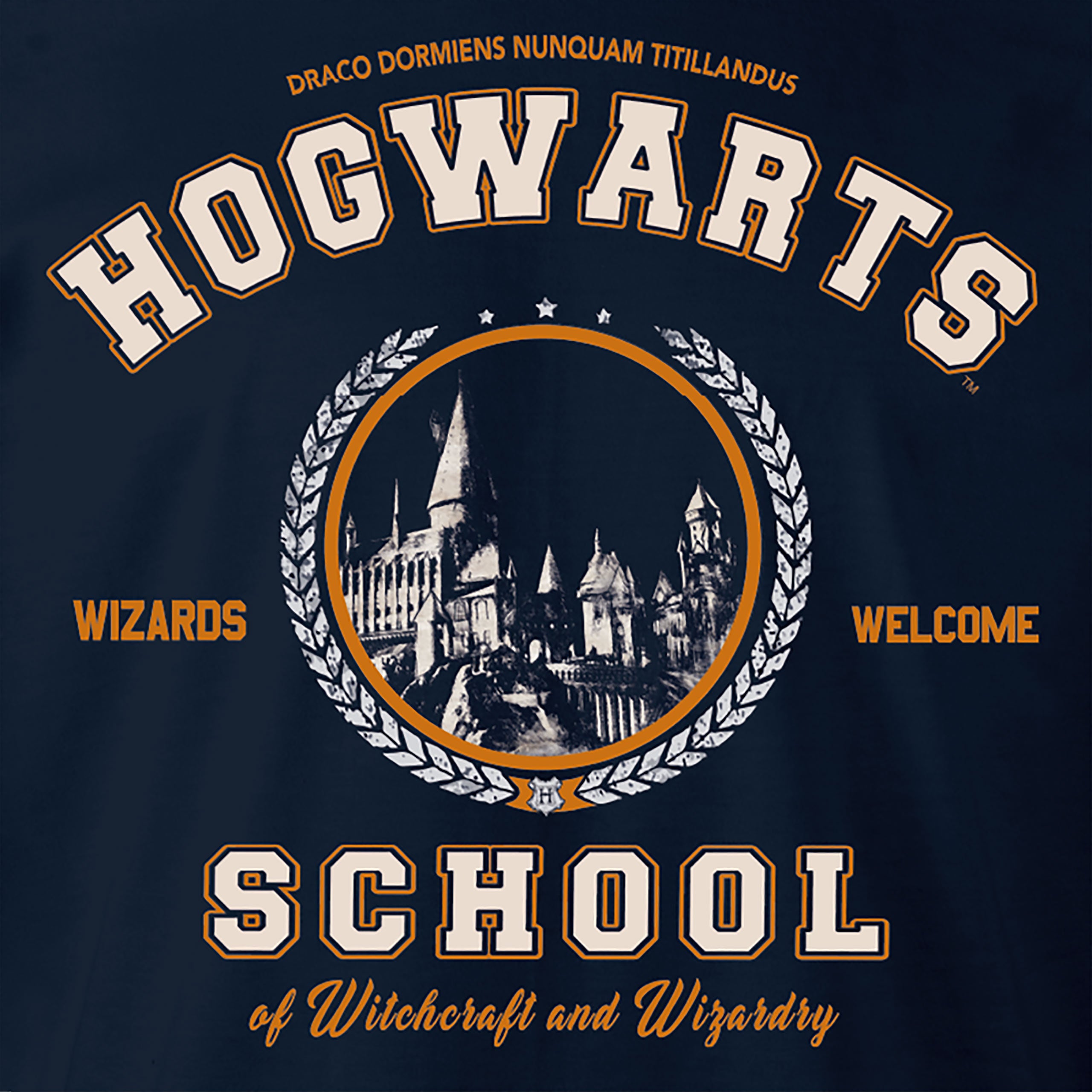 Immagine del prodotto Harry Potter - Felpa con cappuccio della Scuola Hogwarts blu