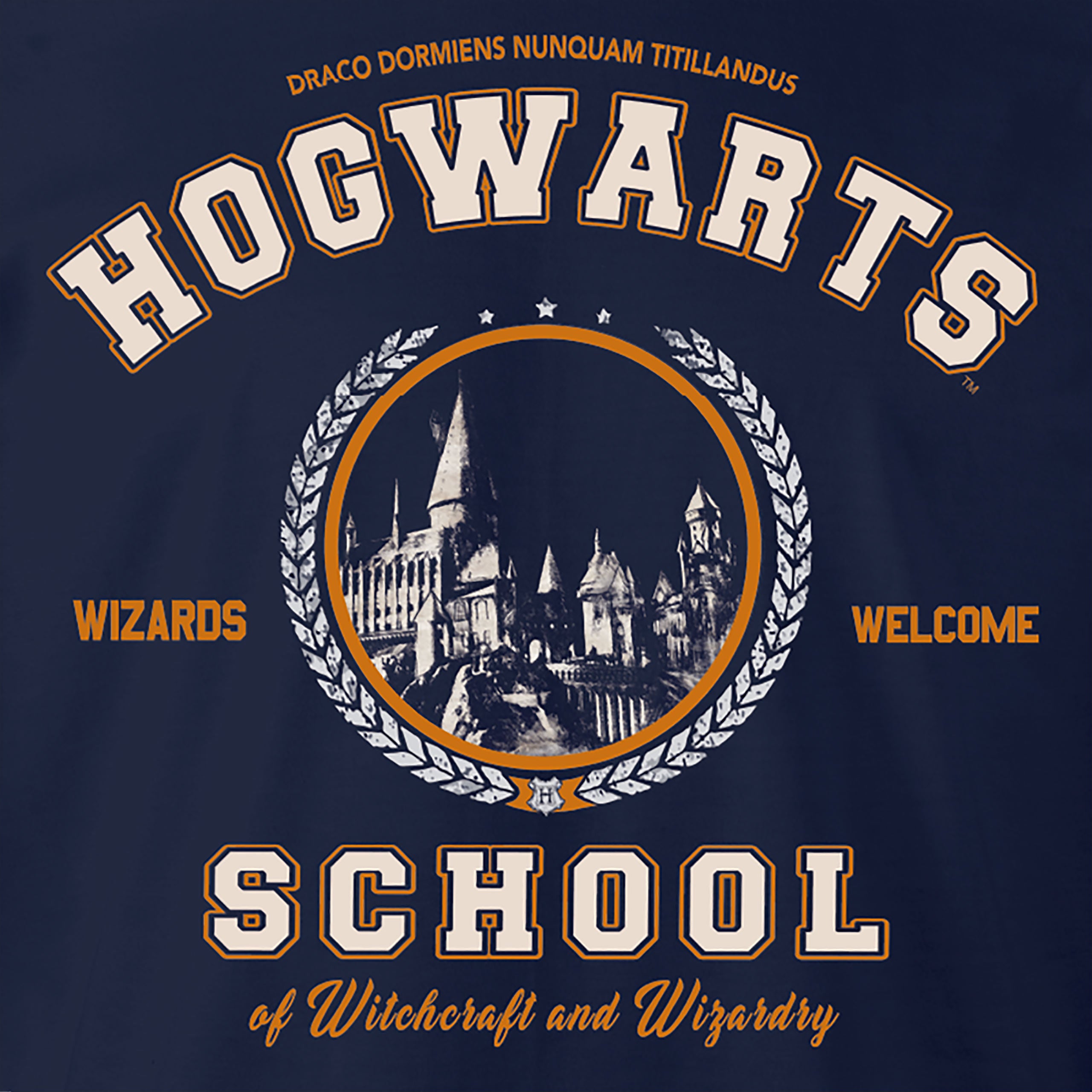 Immagine del prodotto Harry Potter - T-shirt della Scuola Hogwarts blu
