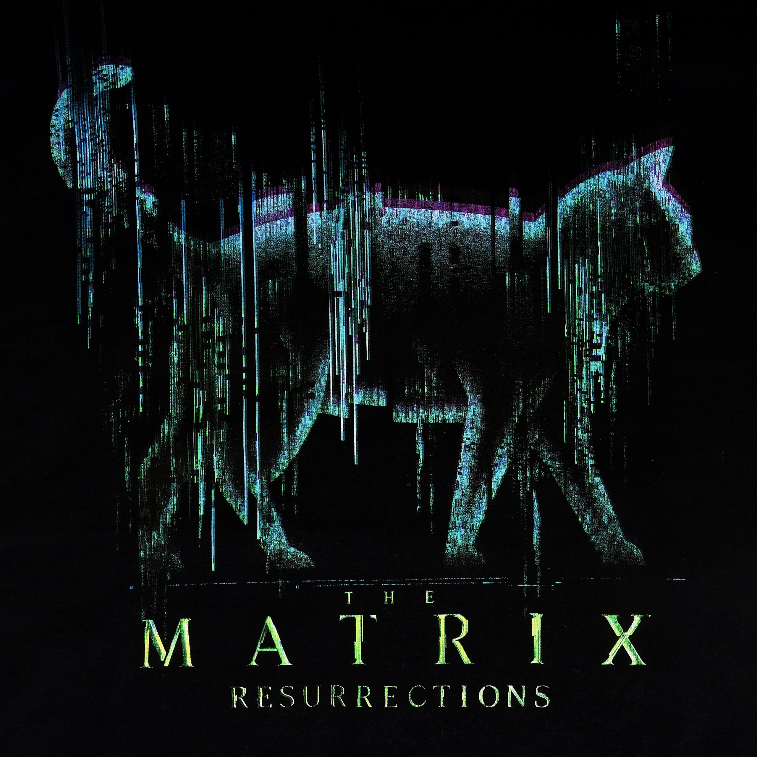 Immagine del prodotto Matrix - T-shirt nera Black Cat