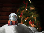 Immagine del prodotto Harry Potter - Palla di neve Hedwig con glitter
