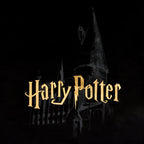 Immagine del prodotto Harry Potter - T-Shirt Castello di Hogwarts Nero