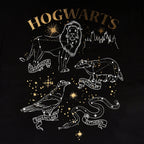 Immagine del prodotto Harry Potter - Maglietta nera con animali degli stemmi delle case di Hogwarts