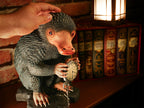 Immagine del prodotto Statua a grandezza naturale di Niffler - Animali Fantastici