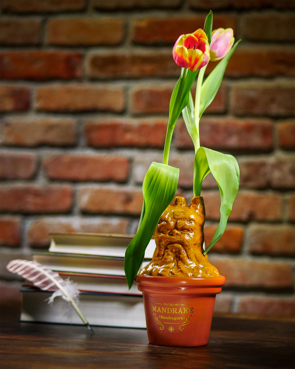 Immagine del prodotto Vaso Mandragora - Harry Potter