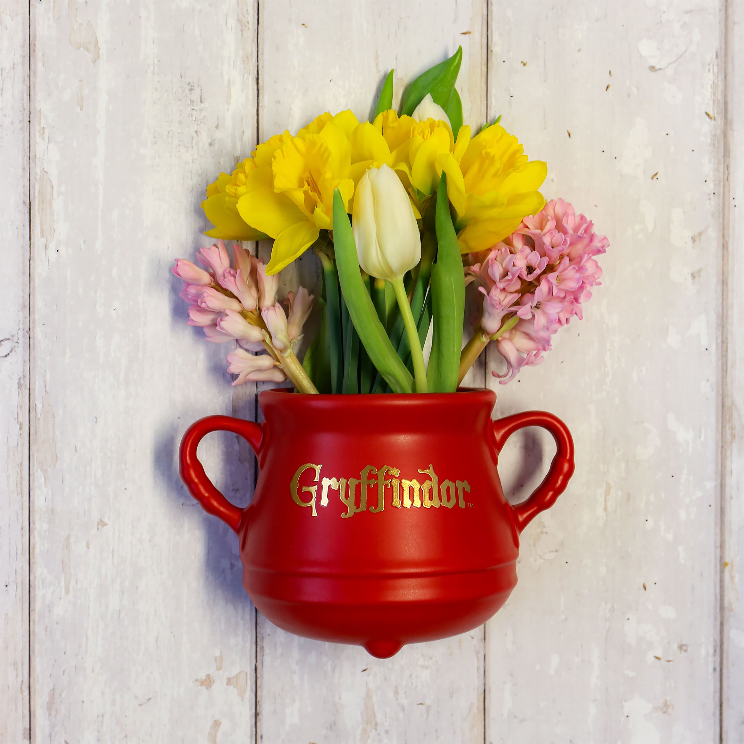 Immagine del prodotto Harry Potter - Vaso Gryffindor