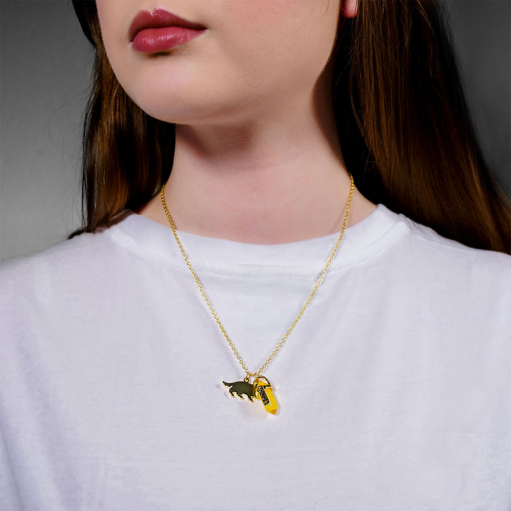 Immagine del prodotto Harry Potter - Collana Stemma Tassorosso