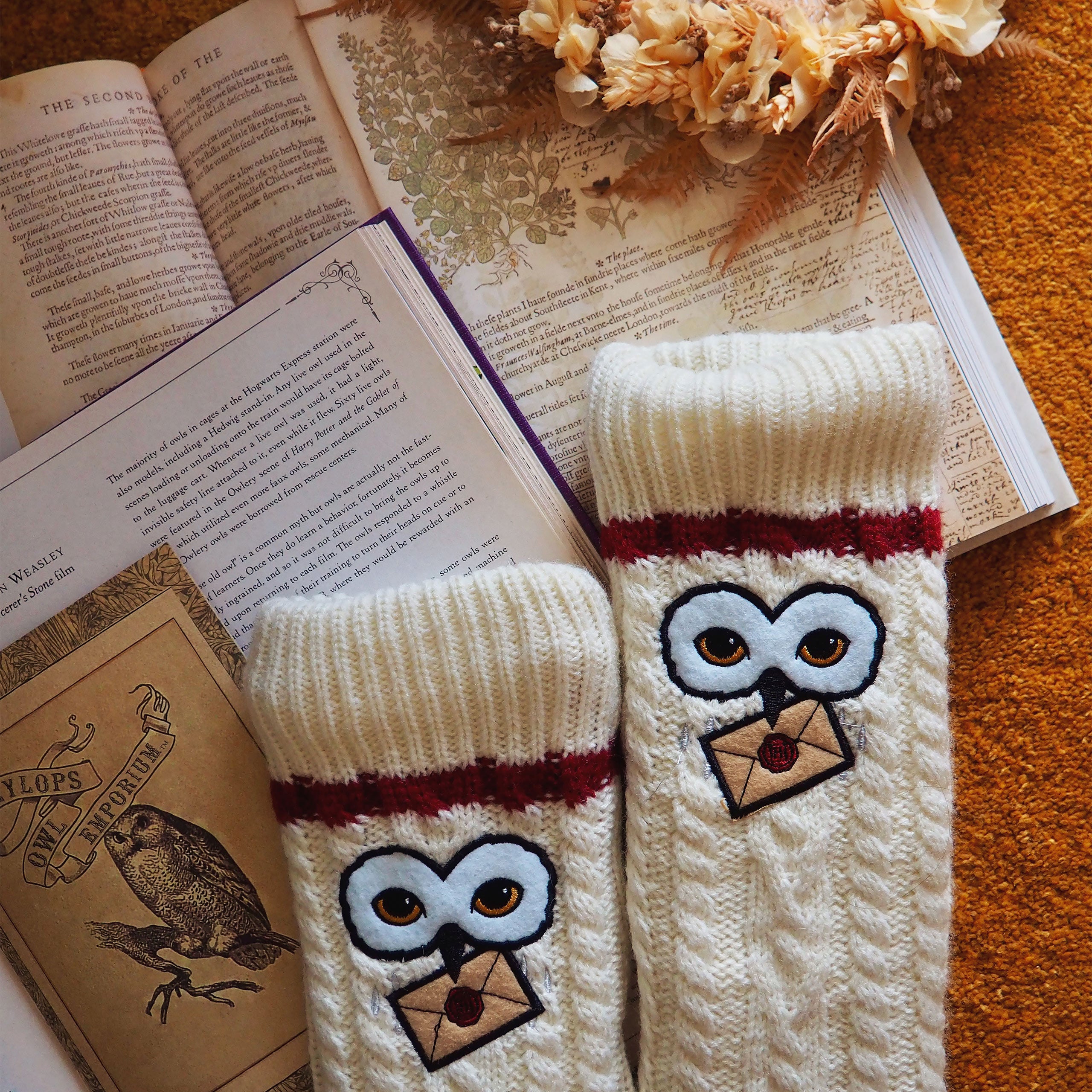 Immagine del prodotto Harry Potter - Calze Hedwig con peluche