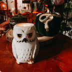 Immagine del prodotto Portacandele Hedwig - Harry Potter