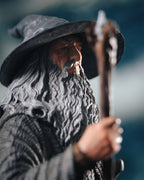 Product image The Lord of the Rings - Gandalf the Grey Figure