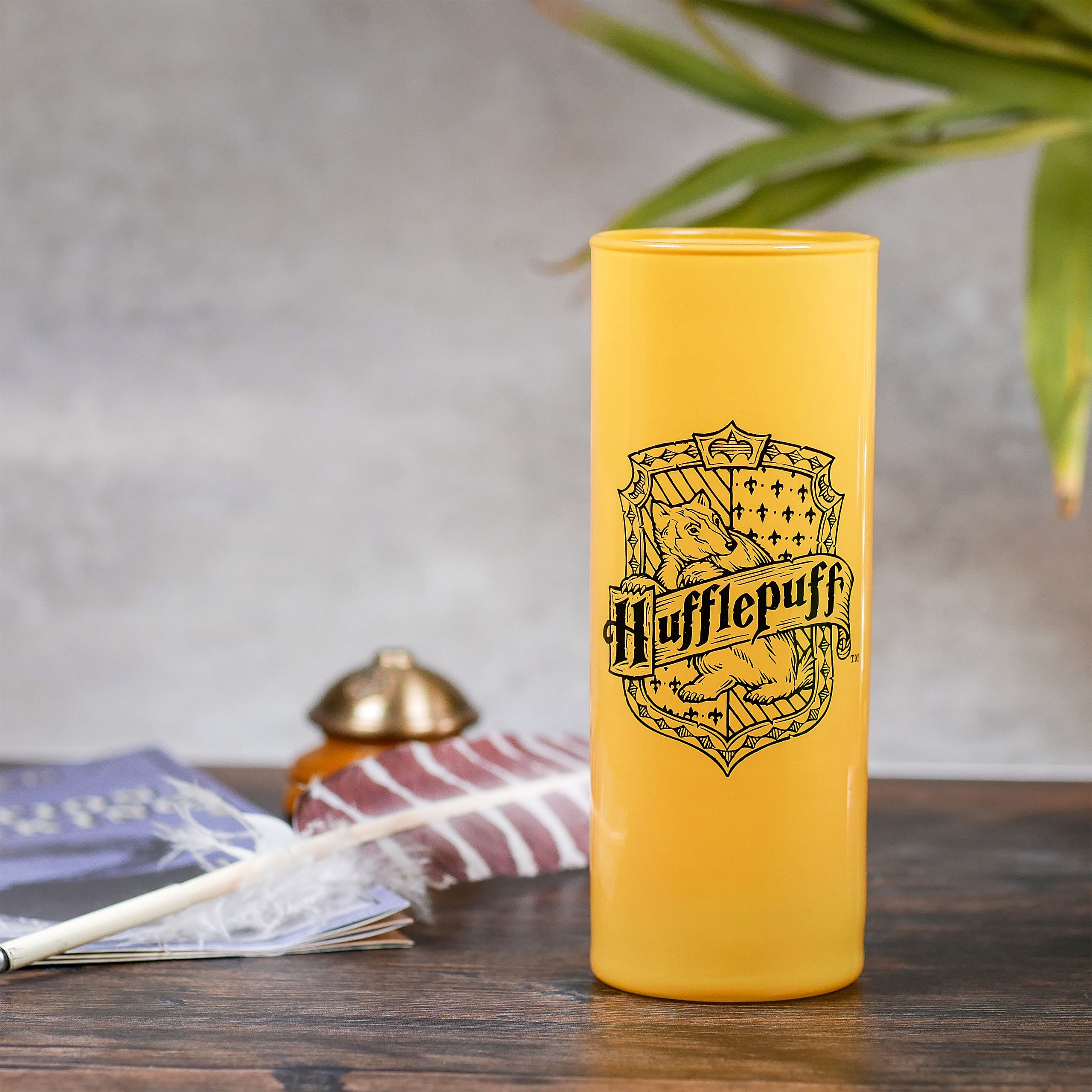 Immagine del prodotto Set di bicchieri delle Case di Hogwarts a 5 pezzi - Harry Potter