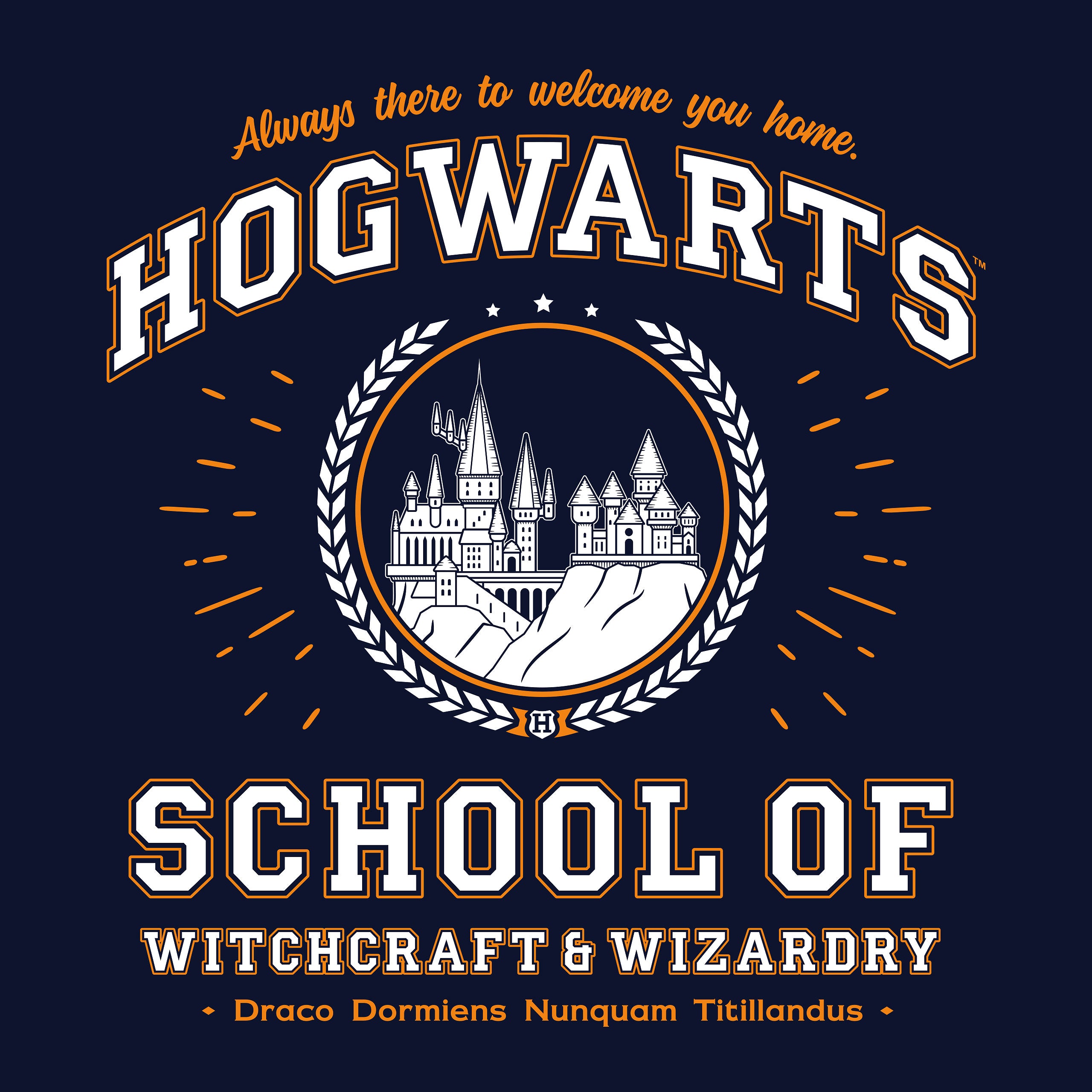 Immagine del prodotto Felpa con cappuccio blu di Hogwarts - Harry Potter
