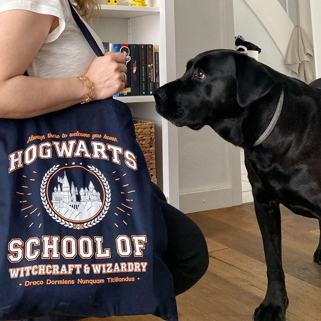 Immagine del prodotto Borsa di juta Hogwarts School blu - Harry Potter
