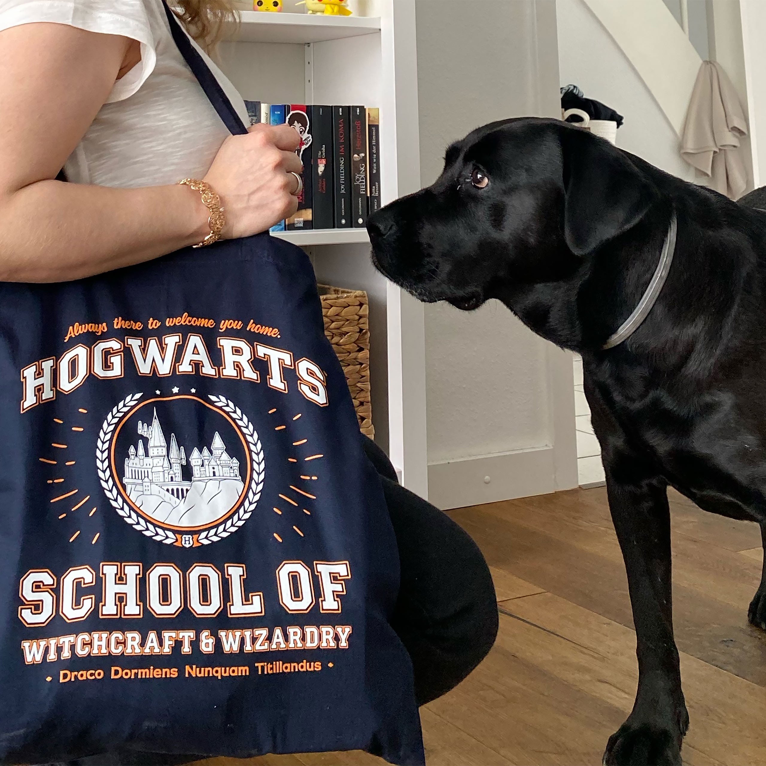 Immagine del prodotto Borsa di juta Hogwarts School blu - Harry Potter