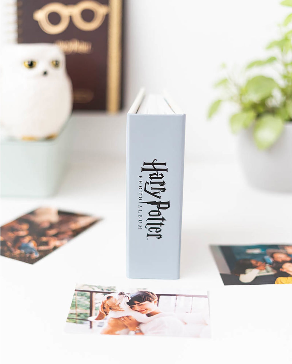 Immagine del prodotto Harry Potter - Album fotografico Momenti Magici