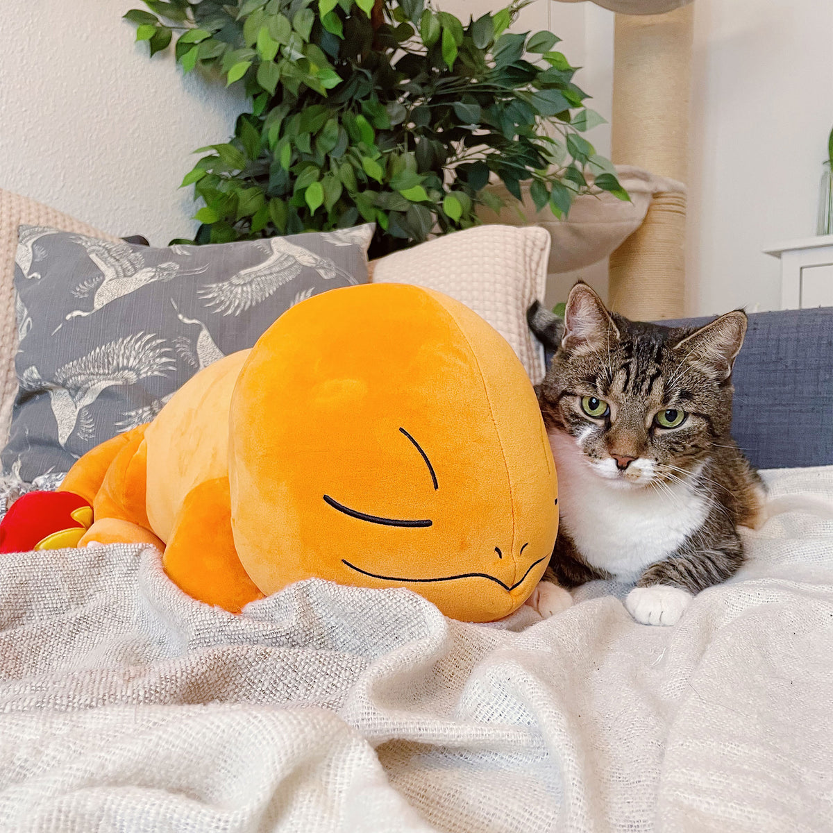 Immagine del prodotto Pokemon - Peluche di Charmander addormentato