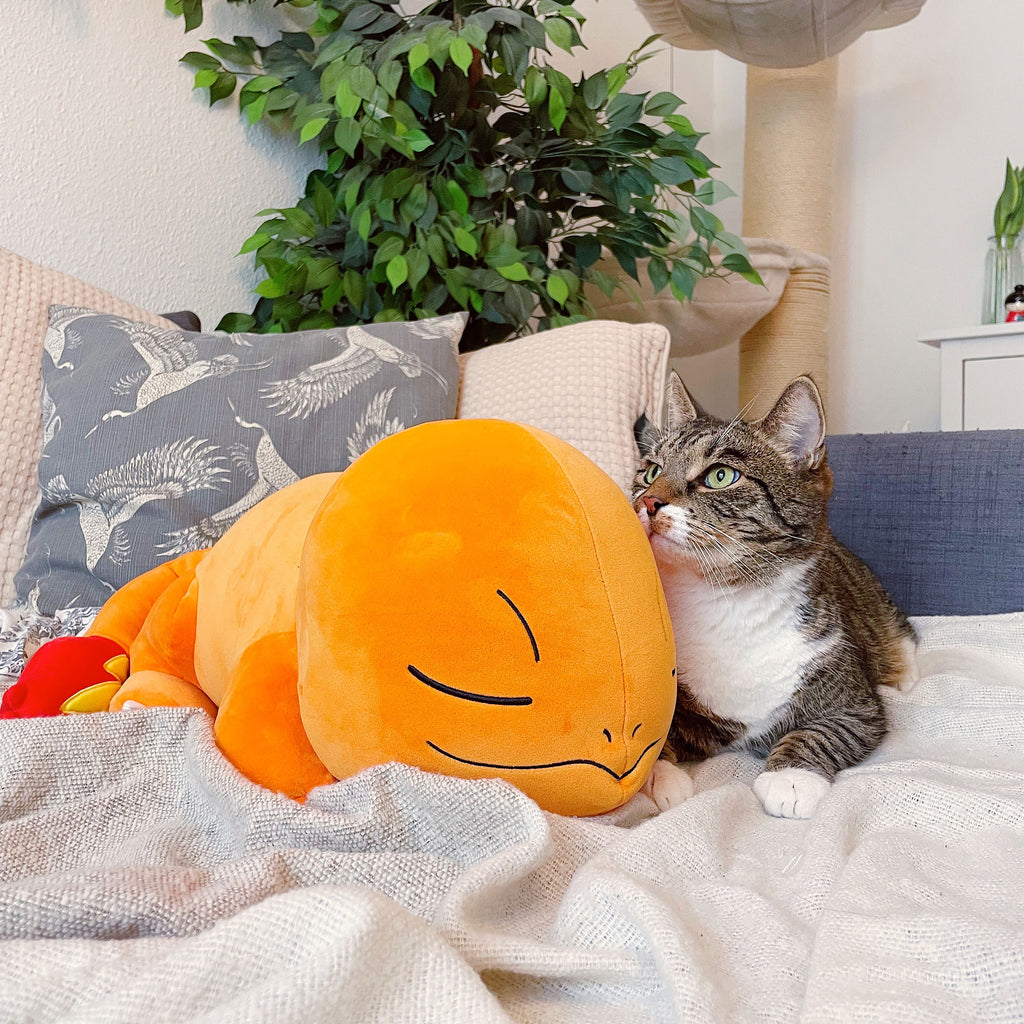 Product image Pokemon - Sleeping Charmander Plush Figure