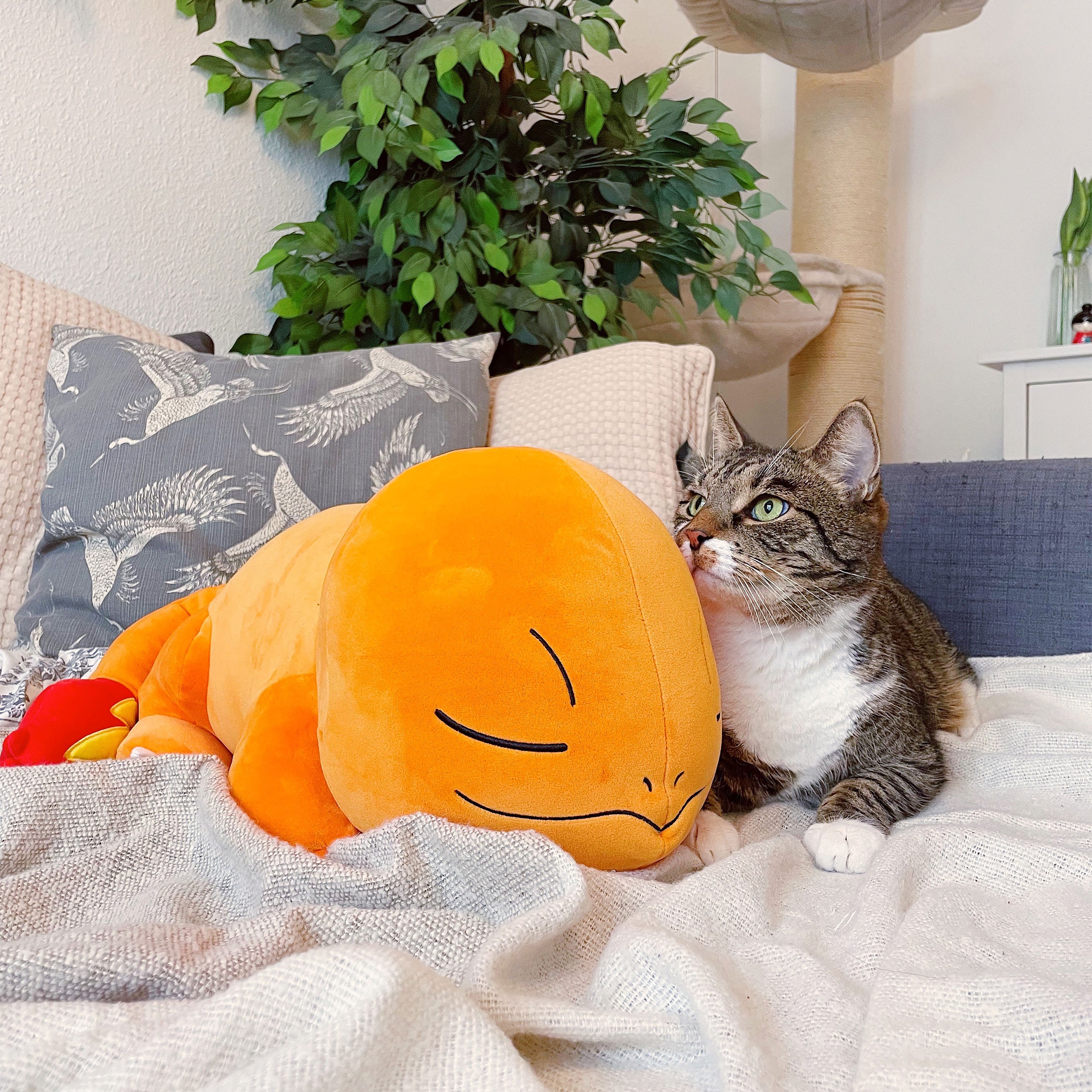 Immagine del prodotto Pokemon - Peluche di Charmander addormentato