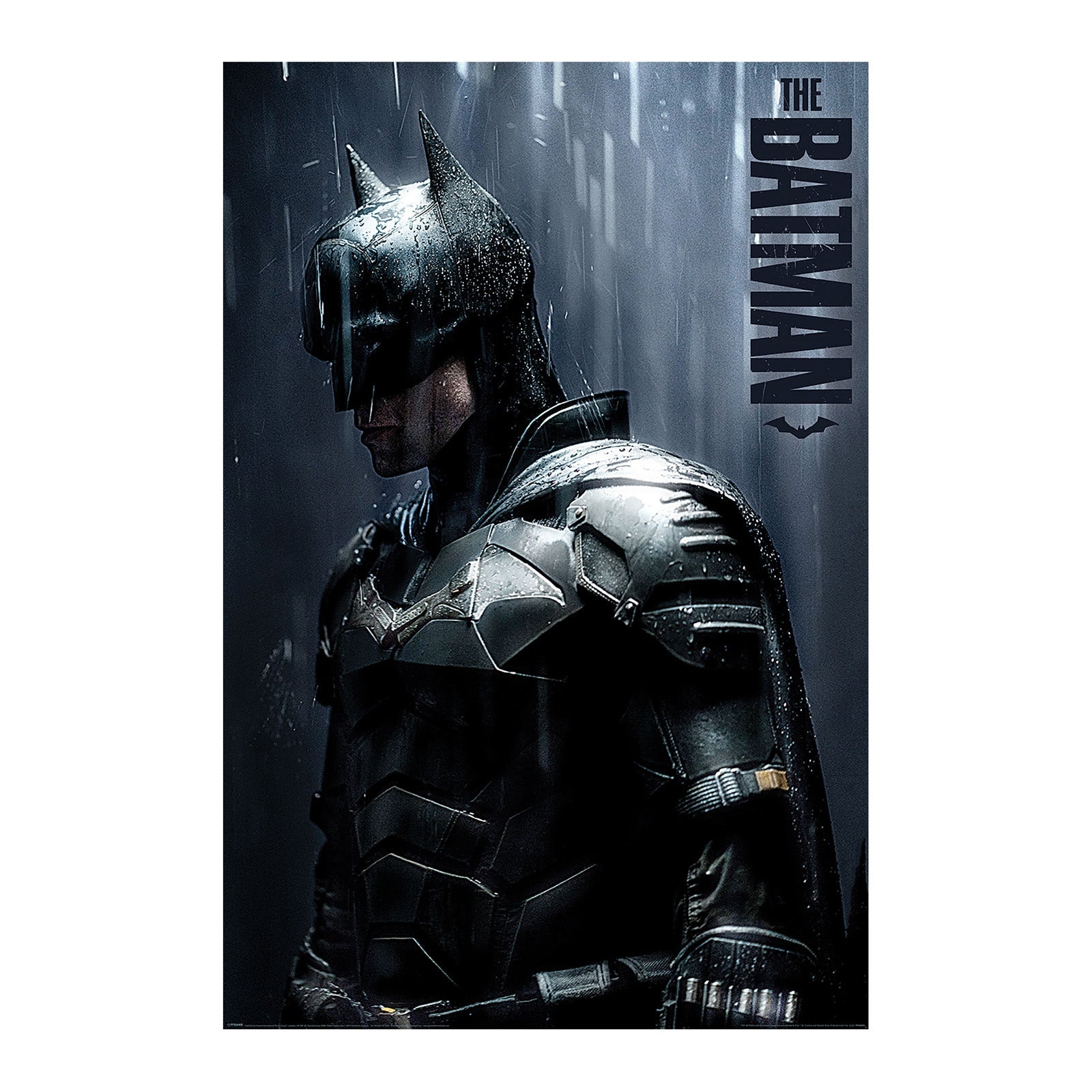 Immagine del prodotto The Batman - Downpour Maxi Poster