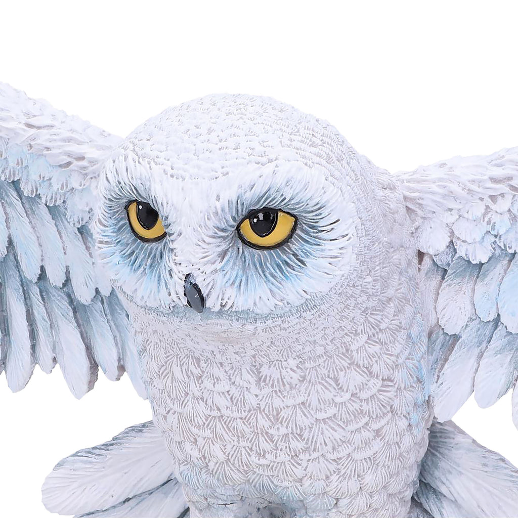 Product image Hedwig Wall Sculpture - Harry Potter