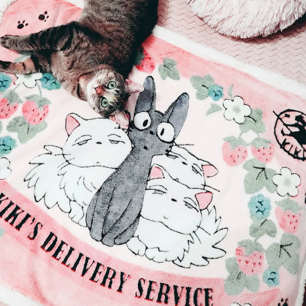 Immagine del prodotto Il Servizio di Consegna di Kiki - Coperta Jiji