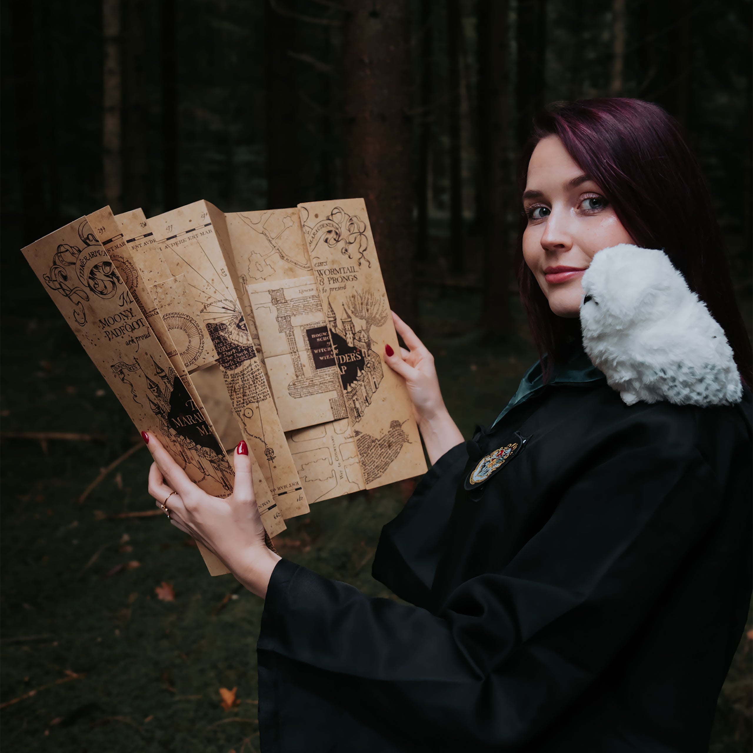 Immagine del prodotto Mappa del Malandrino - Harry Potter