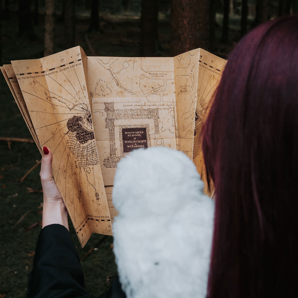 Product image Marauder's Map - Harry Potter