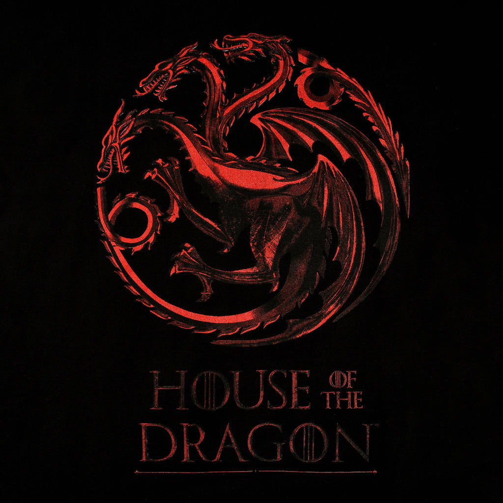 Immagine del prodotto House of the Dragon - Maglietta con logo nero