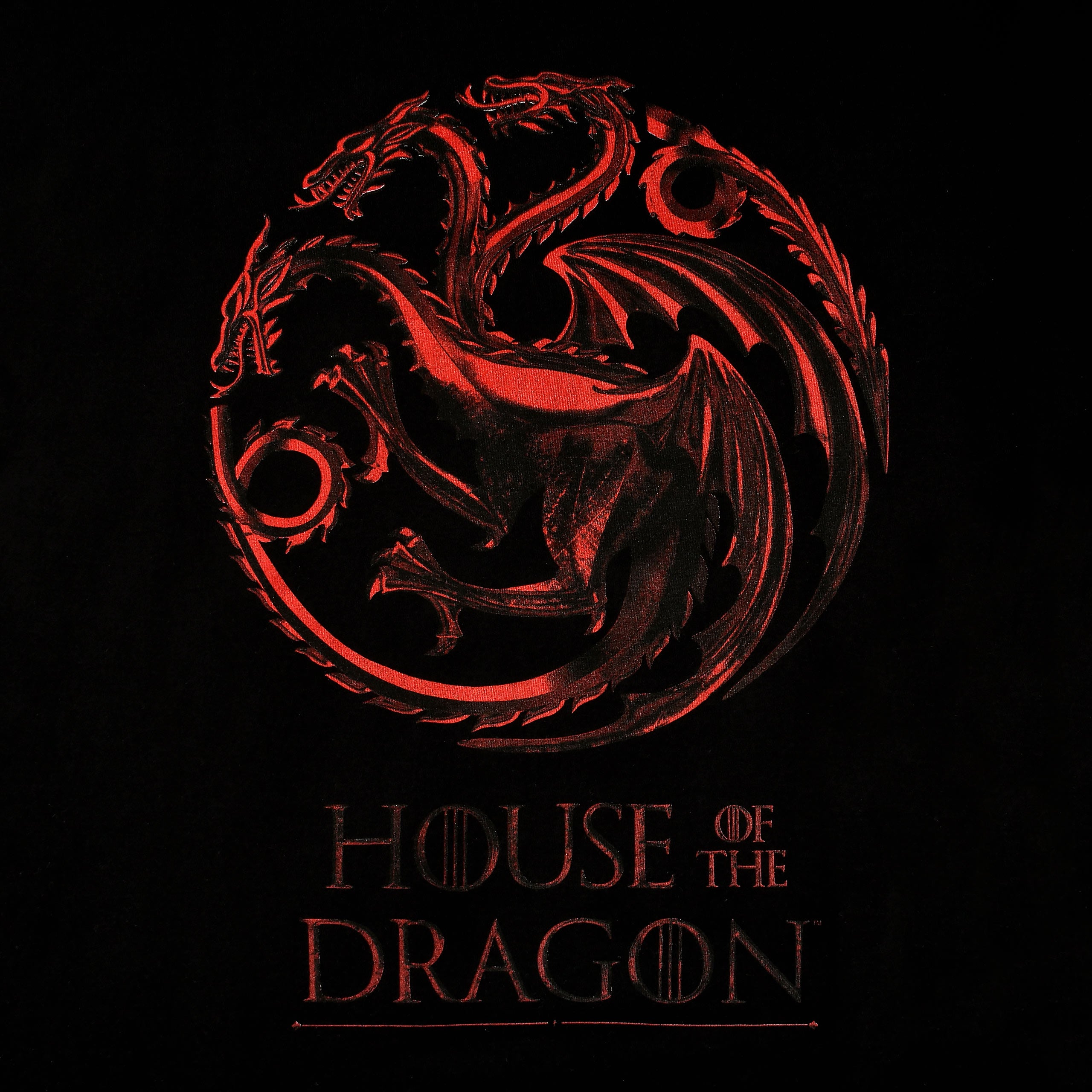 Immagine del prodotto House of the Dragon - Maglietta con logo nero