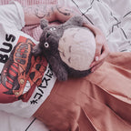 Immagine del prodotto Figura di peluche Totoro grigia