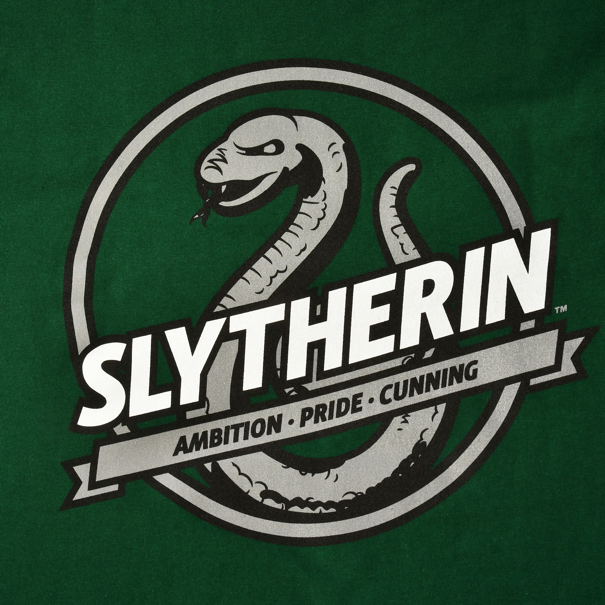 Immagine del prodotto T-shirt verde Valori della Casa Serpeverde - Harry Potter