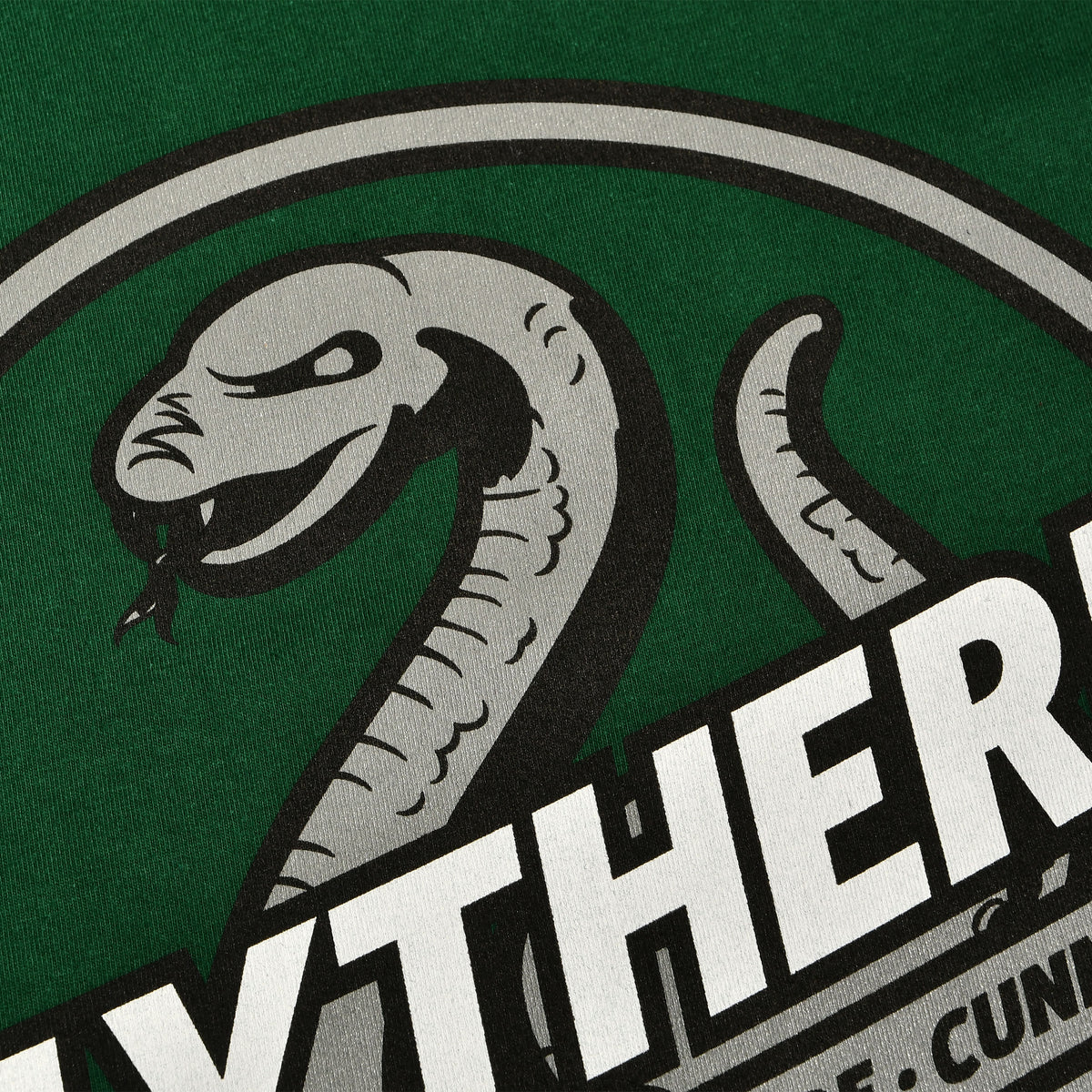 Immagine del prodotto T-shirt verde Valori della Casa Serpeverde - Harry Potter
