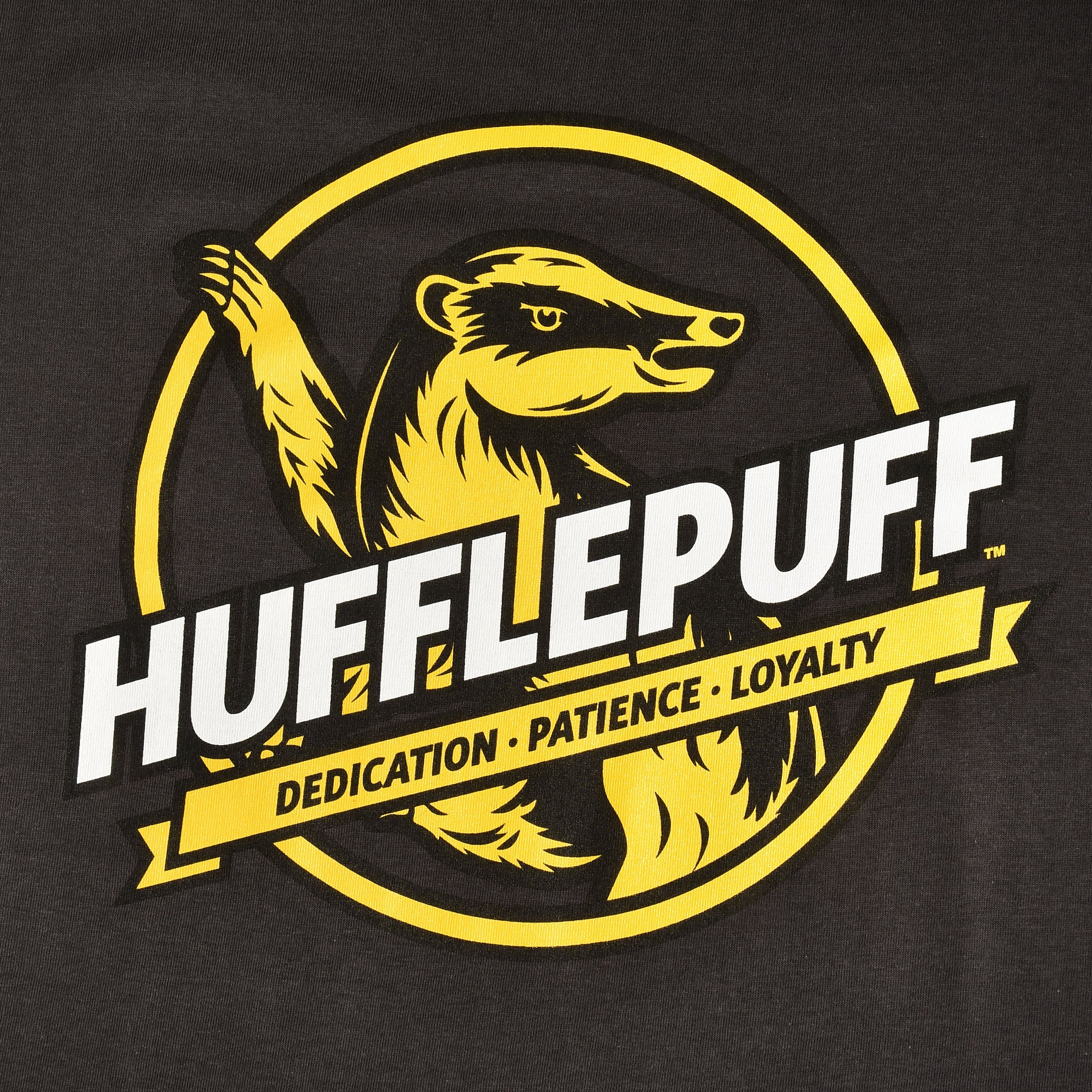Immagine del prodotto T-shirt grigia Hufflepuff House Values - Harry Potter