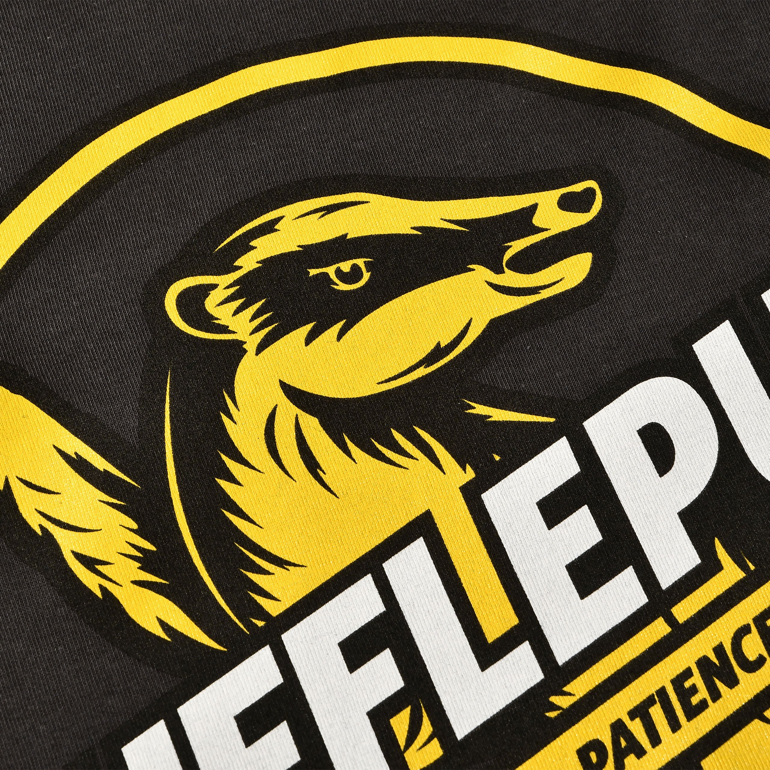 Immagine del prodotto T-shirt grigia Hufflepuff House Values - Harry Potter