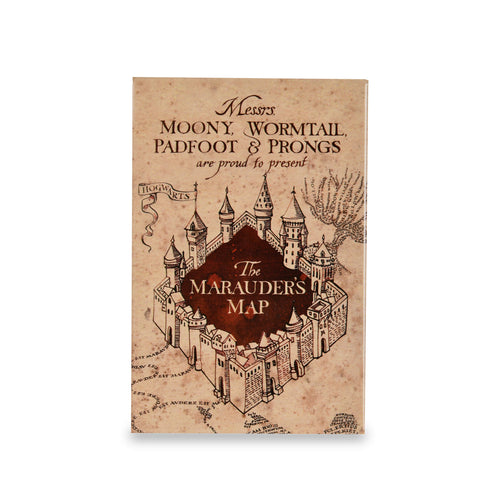 Immagine del prodotto Harry Potter - Mappa del Malandrino Magnete