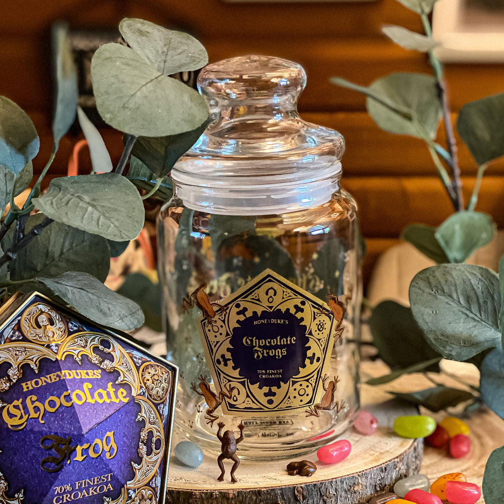 Immagine del prodotto Harry Potter - Barattolo per biscotti Honey Dukes Chocolate Frog