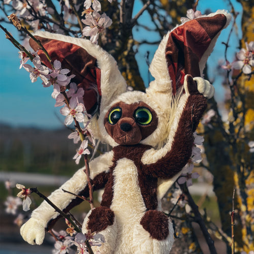 Immagine del prodotto Avatar The Last Airbender - Peluche Momo