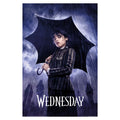 Immagine del prodotto Wednesday - Downpour Teaser Maxi Poster