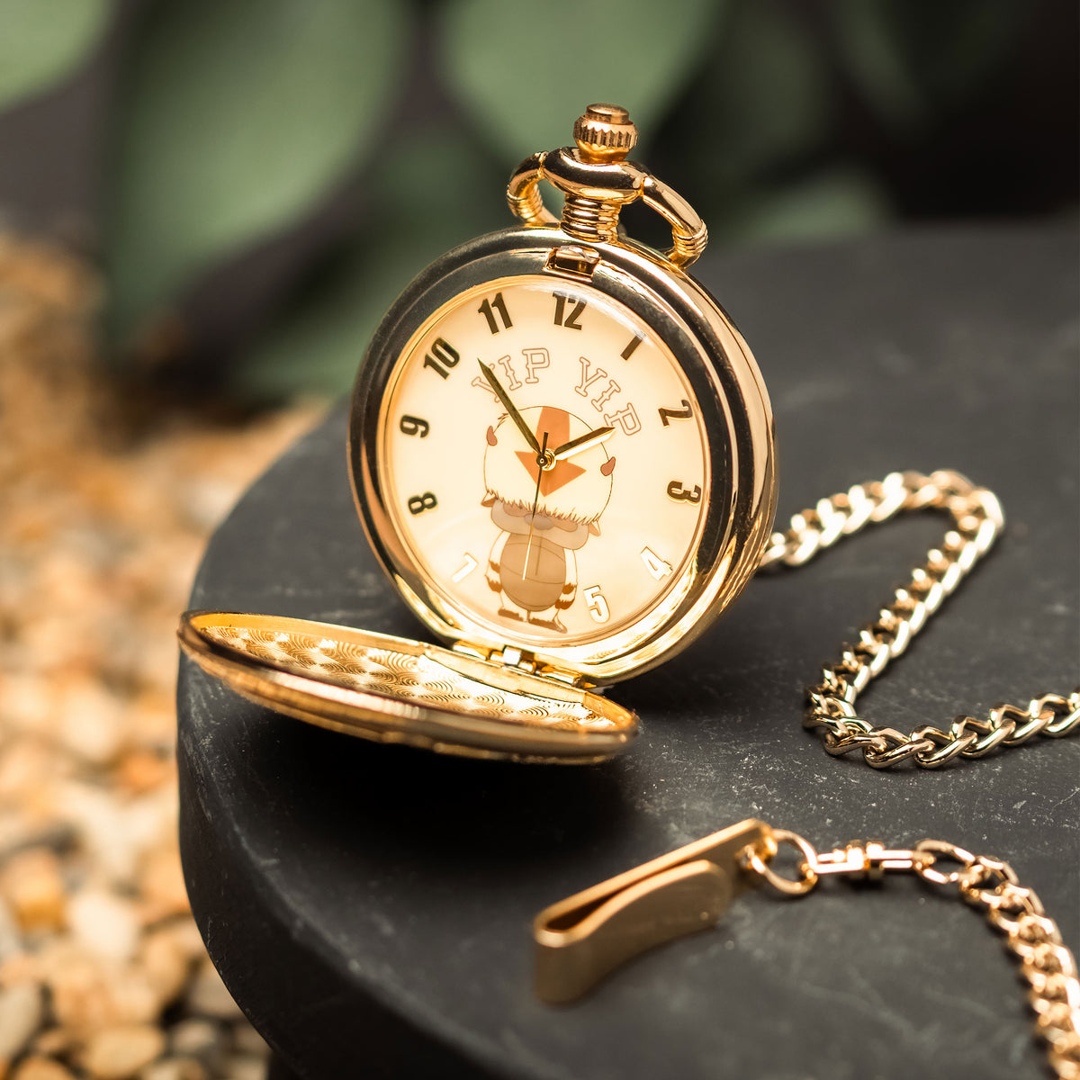 Immagine del prodotto Avatar The Last Airbender - Orologio da tasca Appa