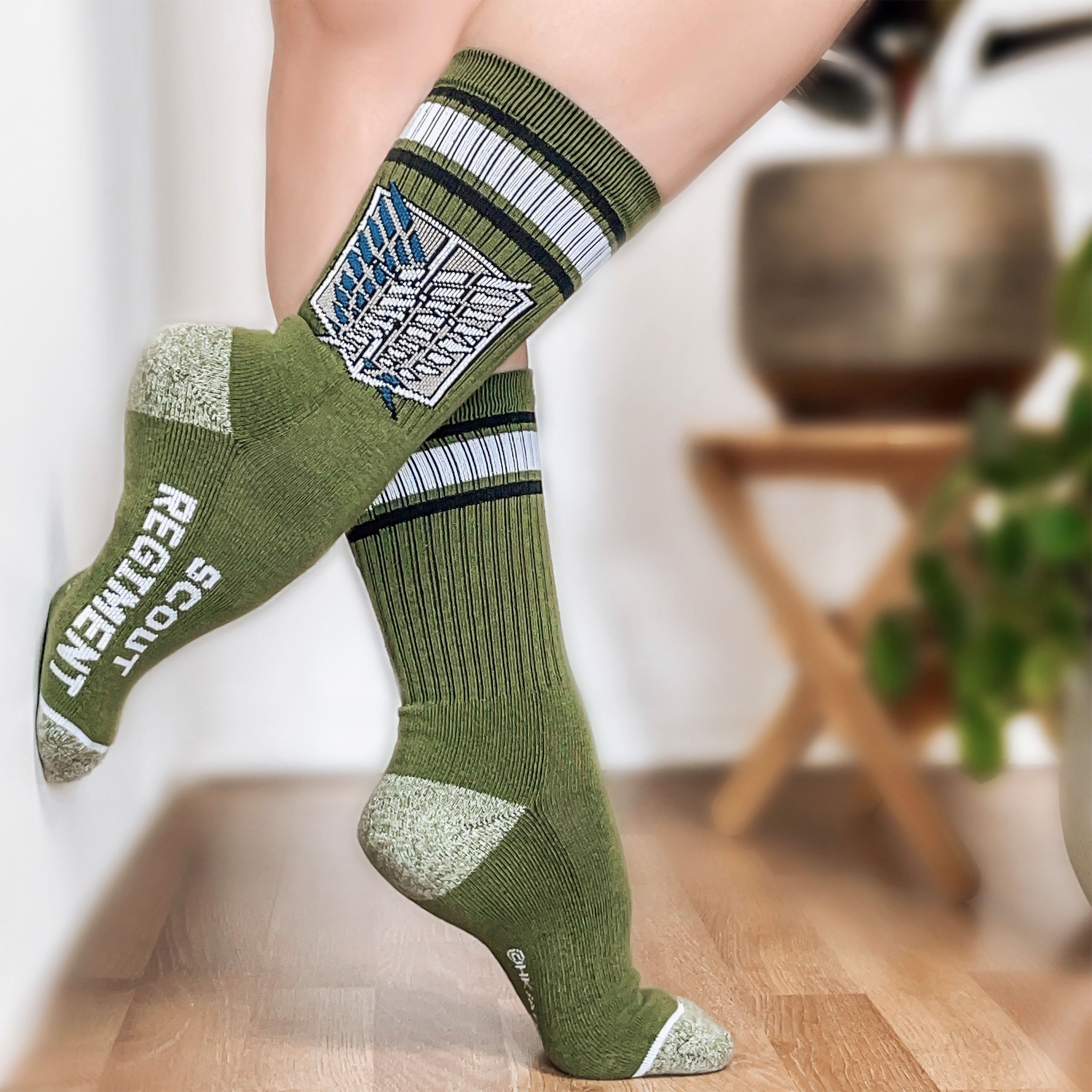 Product image Attack on Titan - Scout Regiment Socks