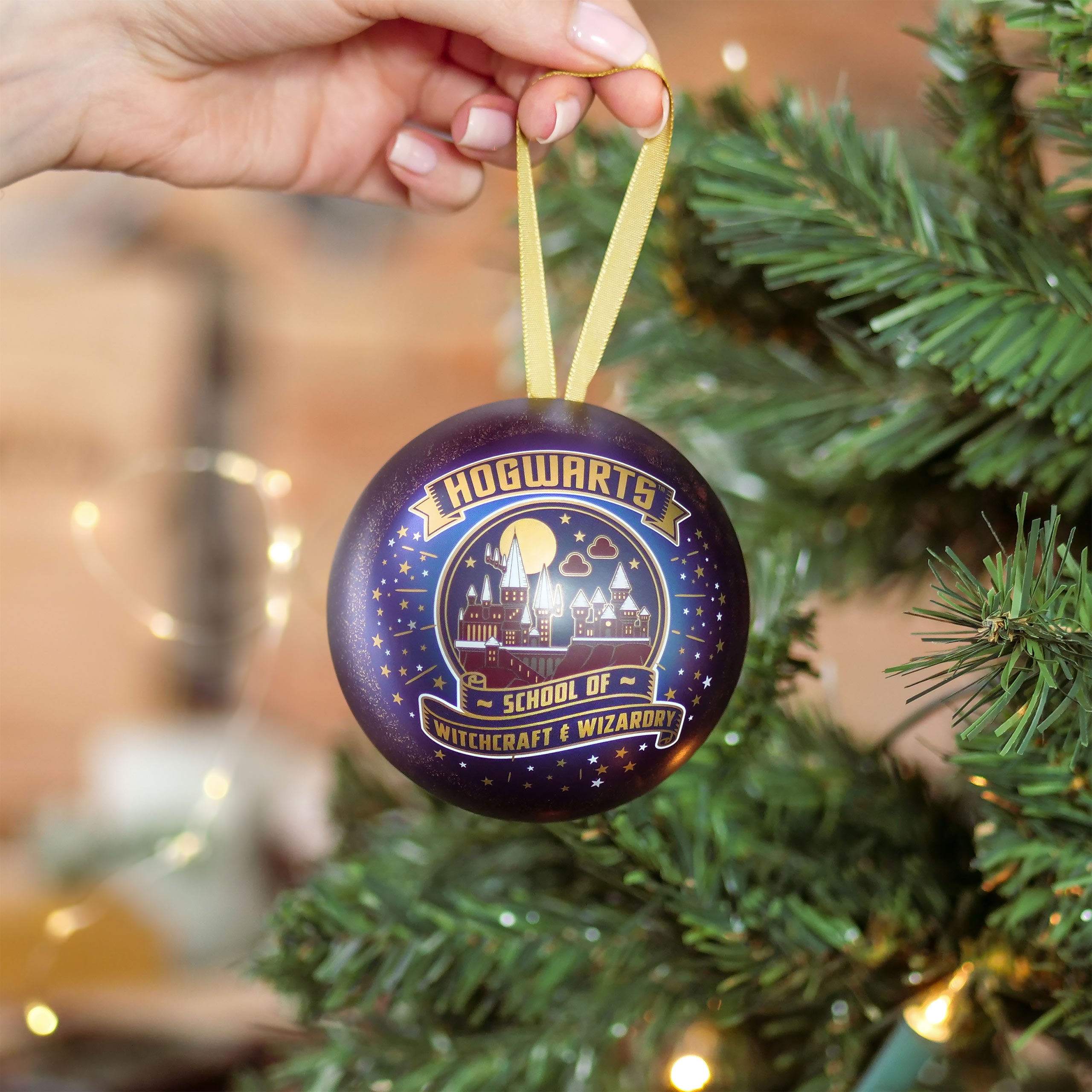 Immagine del prodotto Harry Potter - Palla di Natale della Scuola di Magia e Stregoneria di Hogwarts con Collana
