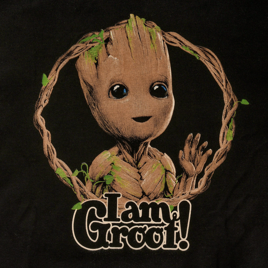 Immagine del prodotto Guardians of the Galaxy - Felpa con Cappuccio I Am Groot Nera