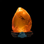 Immagine del prodotto Jurassic Park - Lampada da tavolo Mosquito Amber