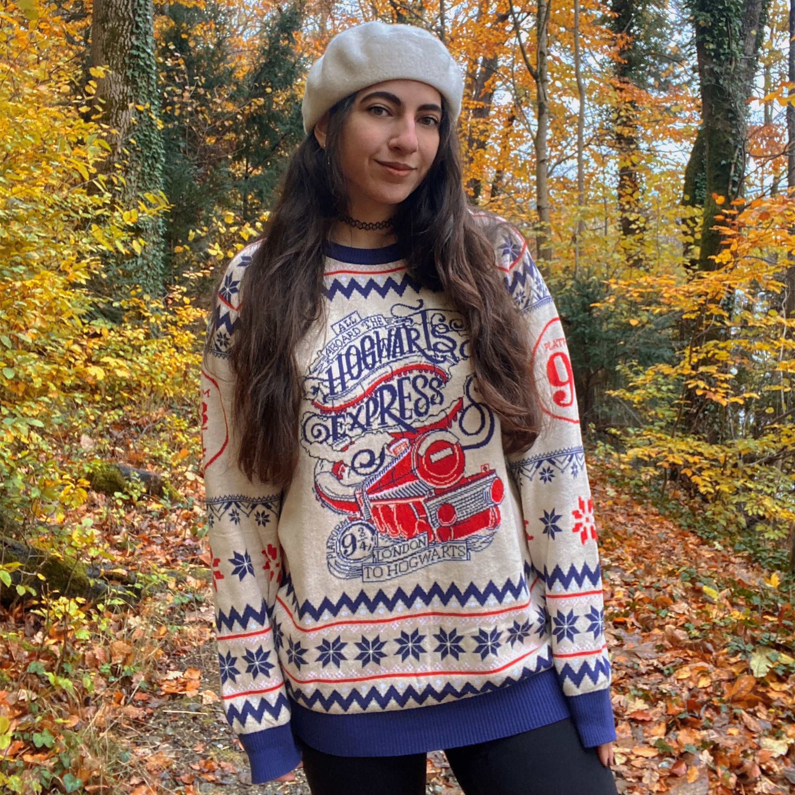 Immagine del prodotto Harry Potter - Maglione di Hogwarts Express
