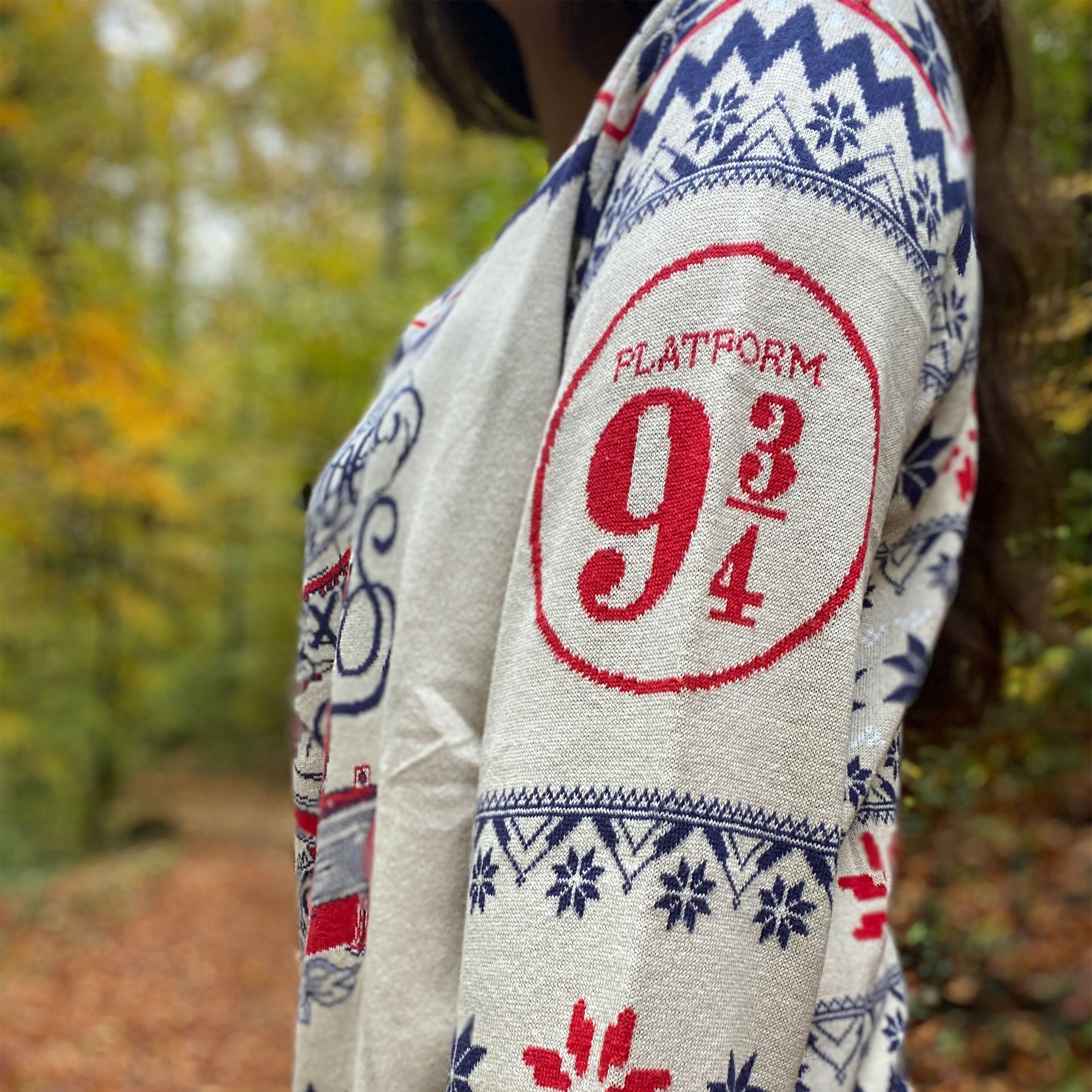 Immagine del prodotto Harry Potter - Maglione di Hogwarts Express