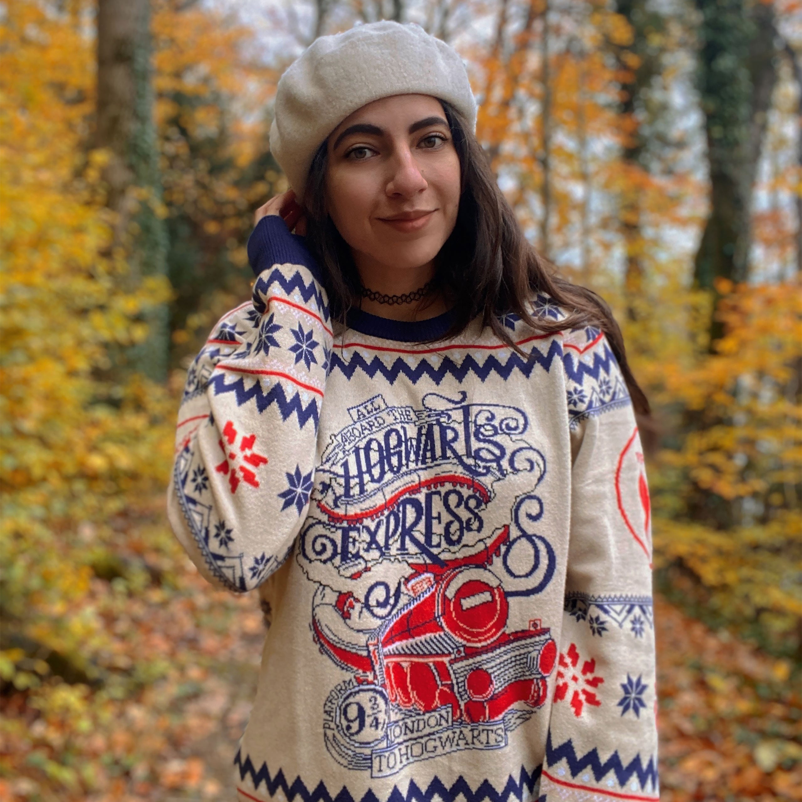 Immagine del prodotto Harry Potter - Maglione di Hogwarts Express